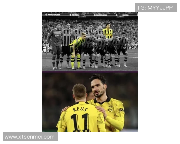 艾尔切古蒂球足球星卡全解析 打造最强球员阵容的秘密武器